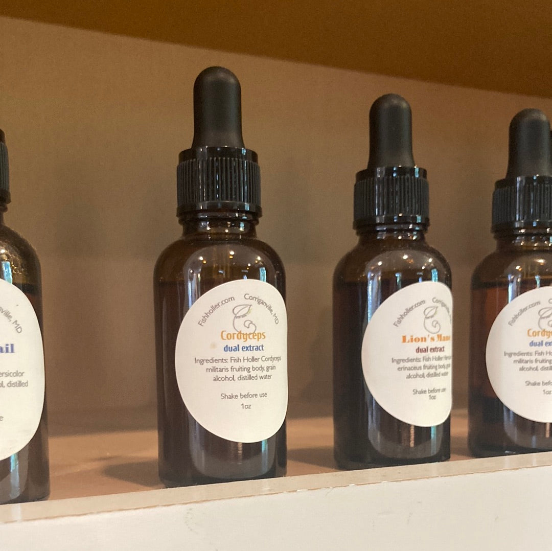 Cordyceps Tincture - Fish Holler