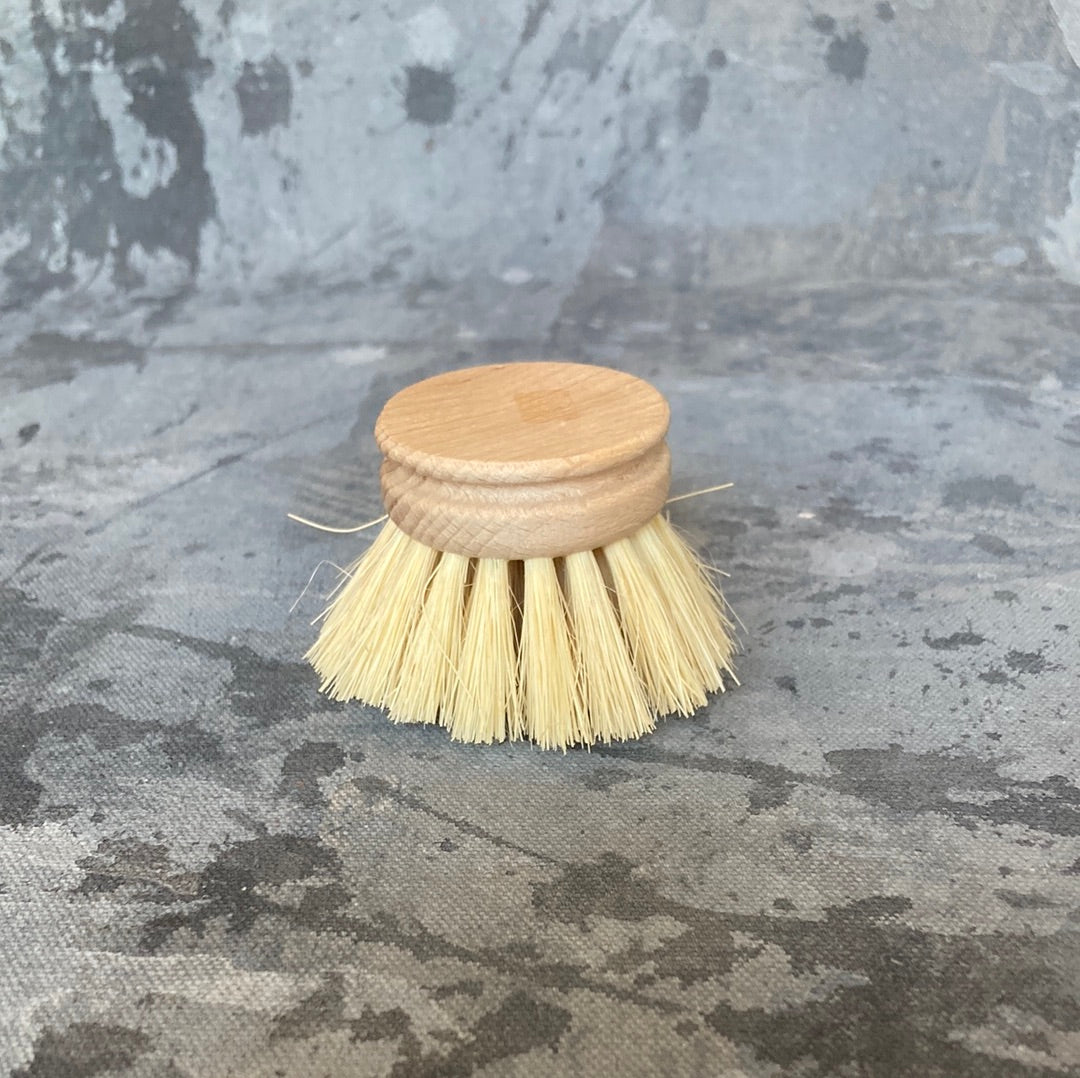 Saardé - Dish Brush Replacement Head | Natural Fibre