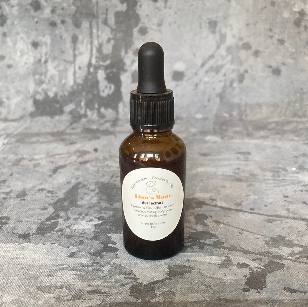 Lion’s Mane Tincture - Fish Holler