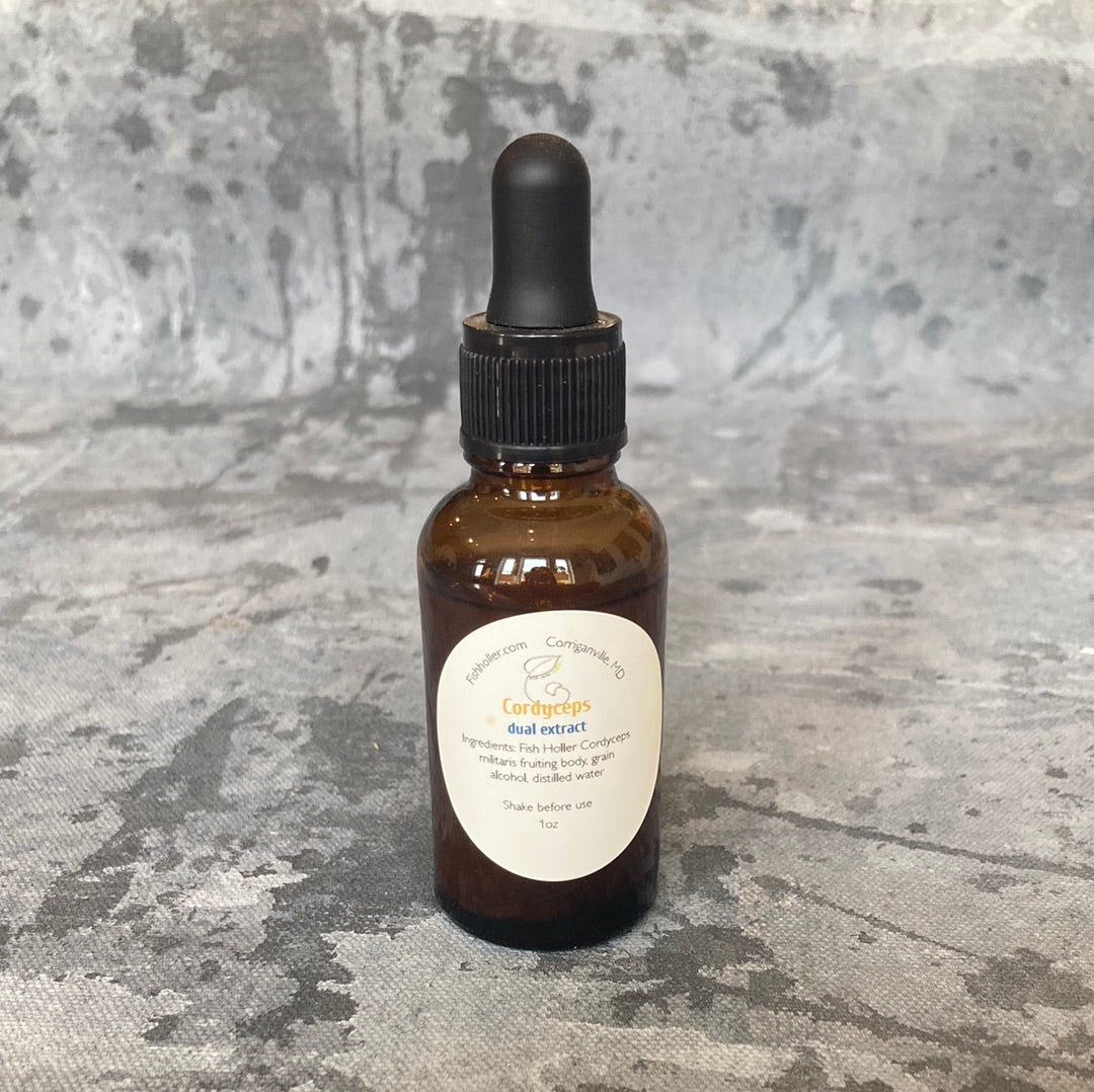 Cordyceps Tincture - Fish Holler