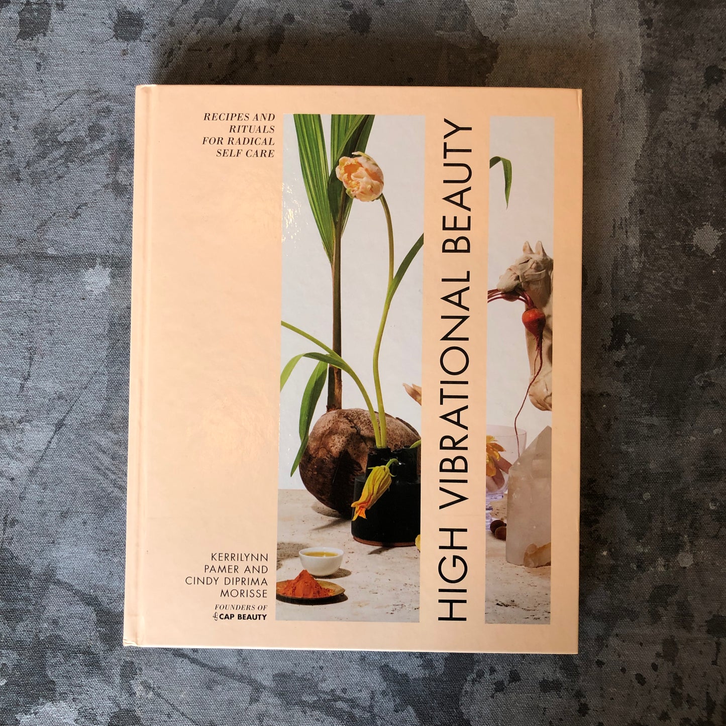 High Vibrational Beauty by Kerrilynn Pamer and Cindy Diprima Morisse