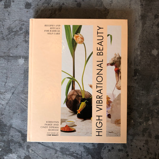 High Vibrational Beauty by Kerrilynn Pamer and Cindy Diprima Morisse