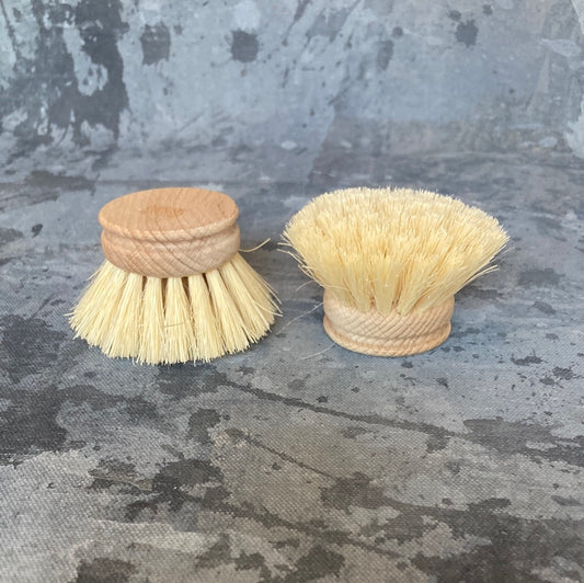 Saardé - Dish Brush Replacement Head | Natural Fibre